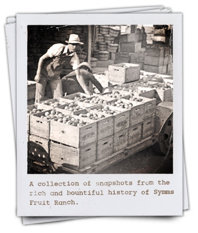A collection of snapshots from the rich and bountiful history of Symms Fruit Ranch.