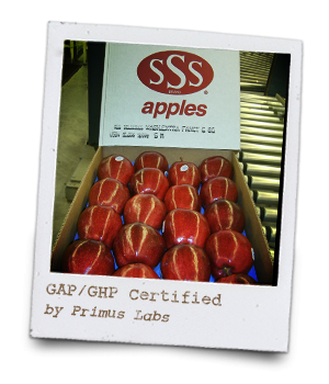 GAP/GHP Certified by Primus Labs